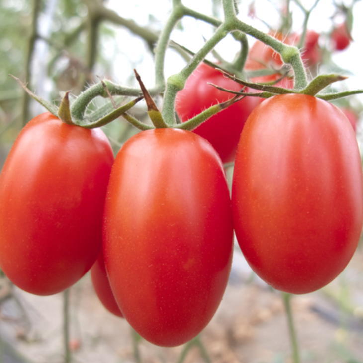 和歌山県すさみ町の画像2
