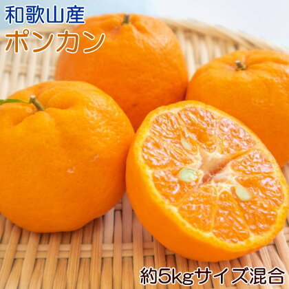 【濃厚】和歌山産ポンカン約5kg（サイズ混合・優秀品） 【2025年2月上旬～3月上旬頃より順次発送】/みかん 蜜柑 ポンカン 和歌山 フルーツ 果物