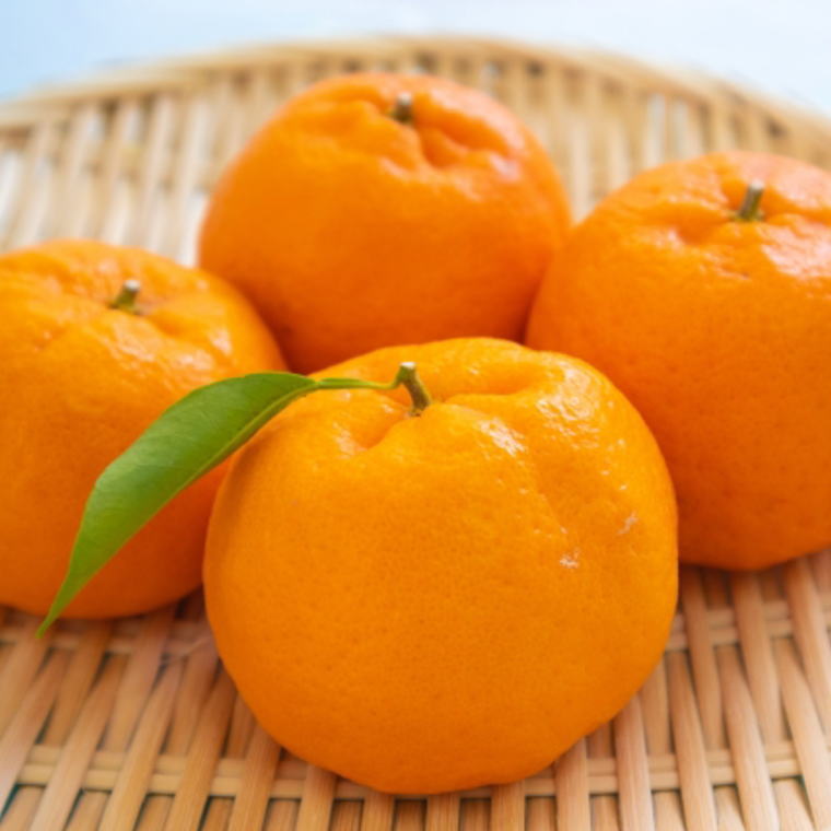 【ふるさと納税】【濃厚】和歌山産ポンカン約5kg（サイズ混合・優秀品） 【2026年2月上旬～2026年3月上旬頃より順次発送】/みかん 蜜柑 ポンカン 和歌山 フルーツ 果物