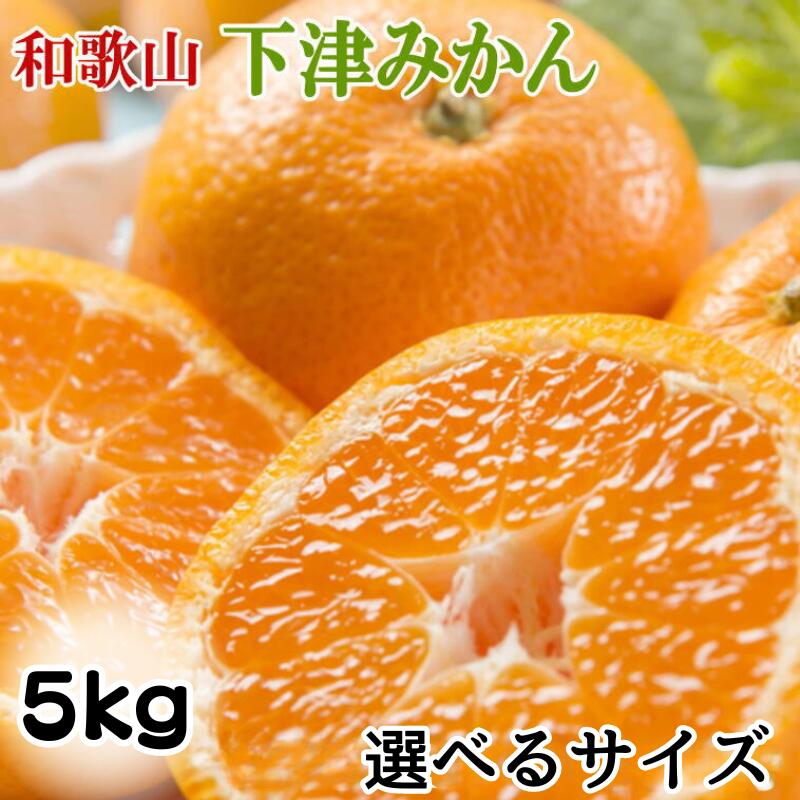【ふるさと納税】【産直・秀品】【選べるサイズ】和歌山下津みかん5kg【2SサイズまたはS~Lサイズおまかせ】<2025年11月中旬~2026年1月中旬頃に順次発送) / フルーツ くだもの 果物 柑橘 オレンジ みかん ミカン 和歌山