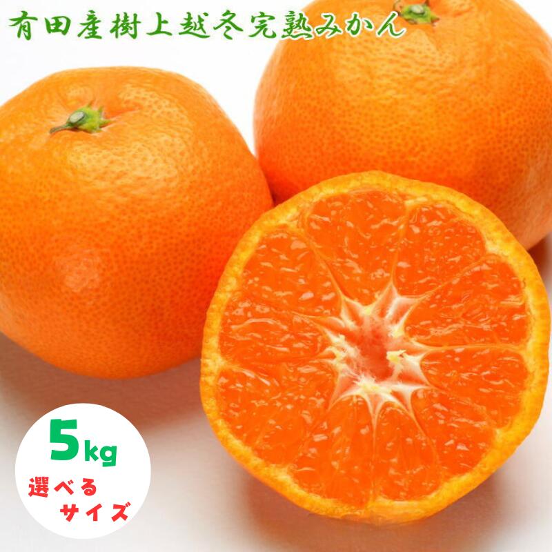 【ふるさと納税】【濃厚・まろやか】有田産樹上越冬完熟みかん 5kg（秀品） 【選べるサイズ】 ＜2026年1月下旬頃～2026年2月中旬頃に順次発送＞ / みかん 有田 柑橘 果物 果実 完熟