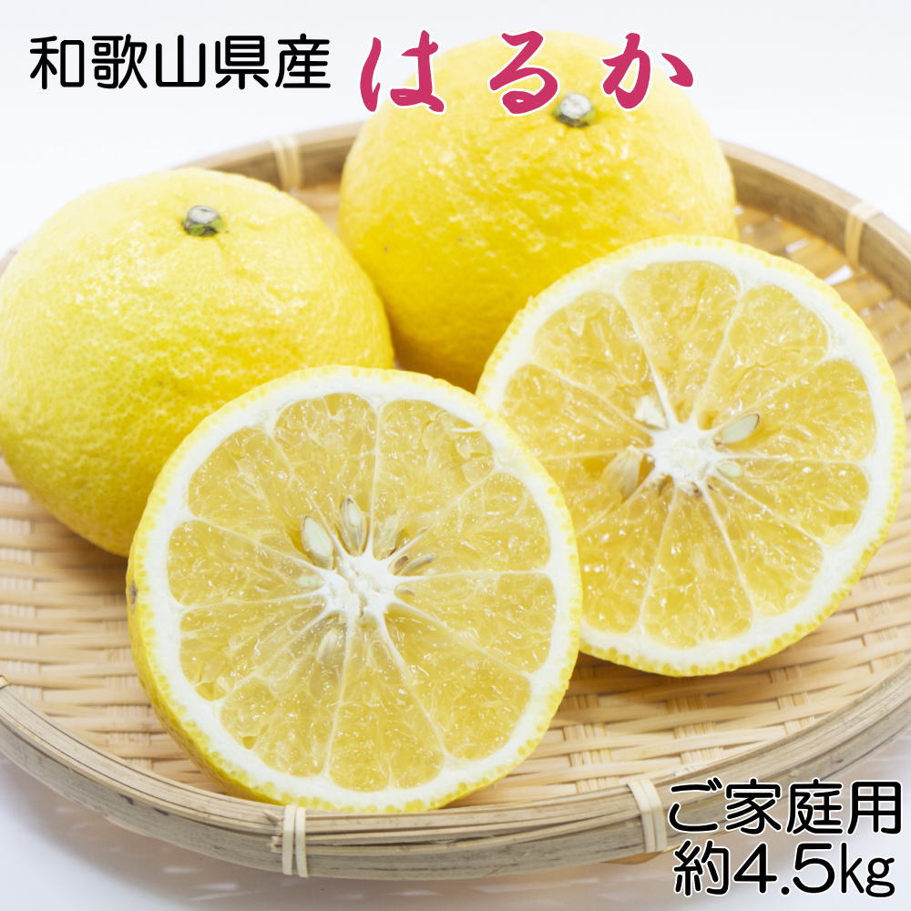 【ふるさと納税】【さわやか柑橘】和歌山県産はるかみかん約4.5kg(サイズ混合 ご家庭用)※2026年2月下旬~2026年3月下旬頃順次発送 / 果物 くだもの 柑橘 フルーツ みかん ミカン 有田みかん 和歌山 はるみ オレンジ はるみみかん 家庭用