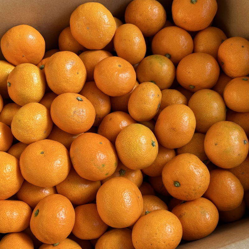 [秀品] 和歌山有田みかん 選べる容量約5kg