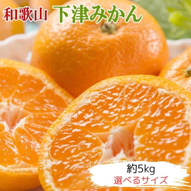 [産直・秀品]和歌山下津みかん約5kg[選べるサイズ][2025年11月中旬〜2026年1月中旬頃に順次発送] / みかん 柑橘 果物 果実 和歌山 下津 早生
