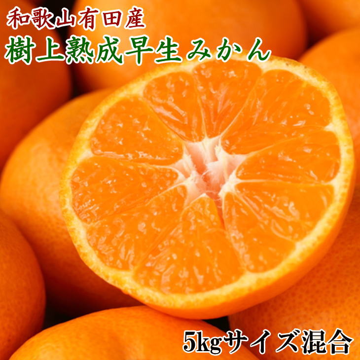 紀州有田産早生みかんの樹上熟成みかん5kg(サイズ混合)※2022年2月上旬より順次発送予定（お届け日指定不可）