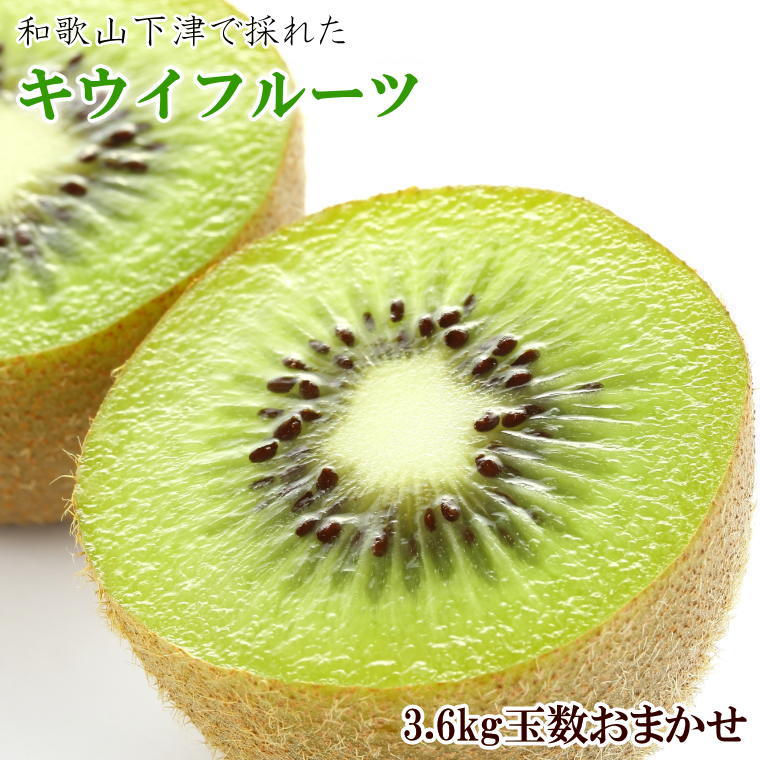 【ふるさと納税】和歌山の下津で採れたキウイフルーツ約3.6kg(玉数おまかせ・秀品)※2026年1月中旬〜3月上旬頃に発送予定(お届け日指定不可)