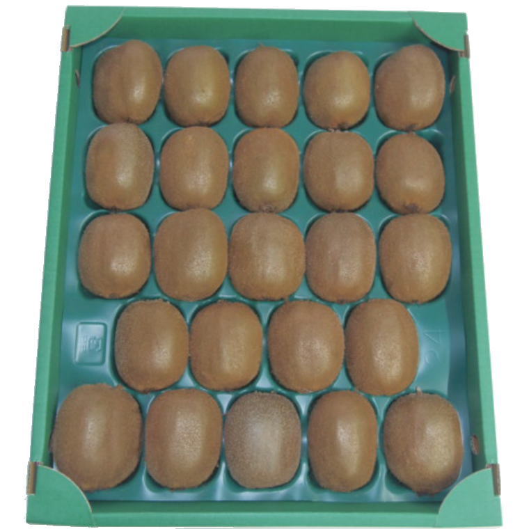 【ふるさと納税】和歌山の下津で採れたキウイフルーツ約3.6kg（玉数おまかせ・秀品）※2026年1月中旬〜3月上旬頃に発送予定（お届け日指定不可）