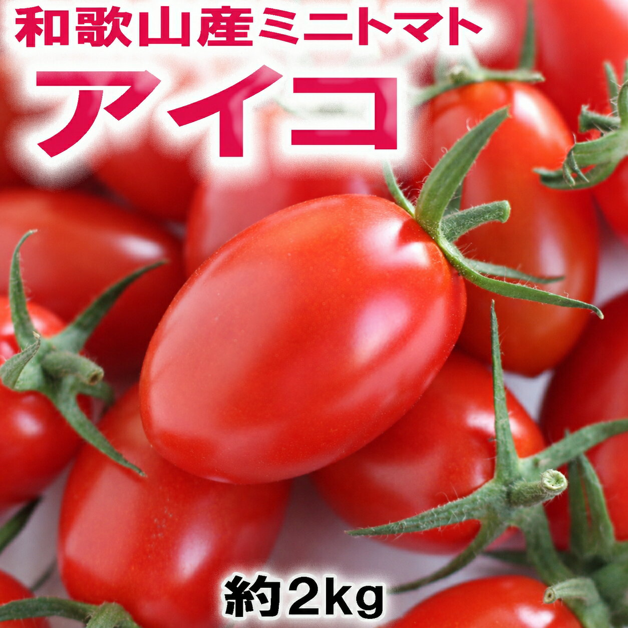 西红柿 - 【ふるさと納税】和歌山産ミニトマト「アイコトマト」約2kg（M・Lサイズおまかせ）［2027年出荷分］【発送月をお選びいただけます】