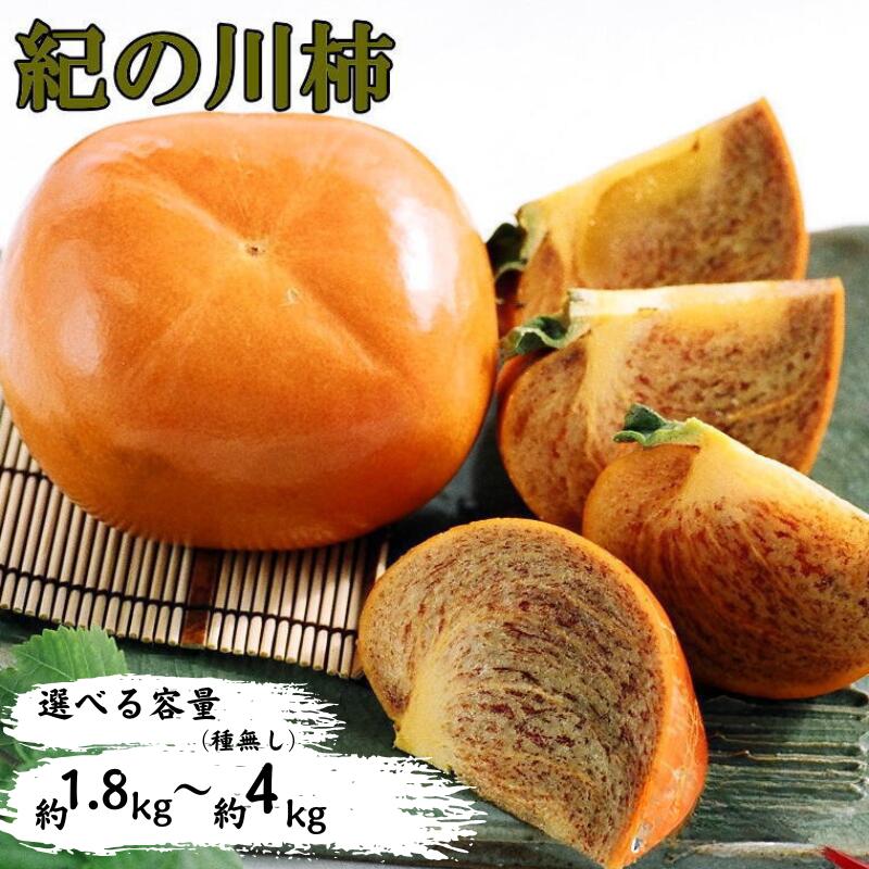 [希少]紀の川柿(種無し) 秀品 [選べる容量] 約1.8〜2kg 約3.5〜4kg ※2025年10月中旬〜2025年11月中旬頃に順次発送(お届け日指定不可)/ 柿 種無し柿 かき カキ 和歌山 フルーツ 果物 たねなし柿