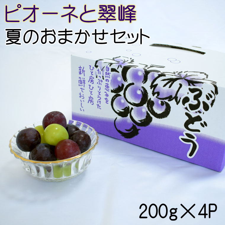 【ふるさと納税】【数量限定】ピオーネと翠峰の夏のおまかせセット約200g×4パック※2024年9月上旬〜9月中旬頃順次発送 1