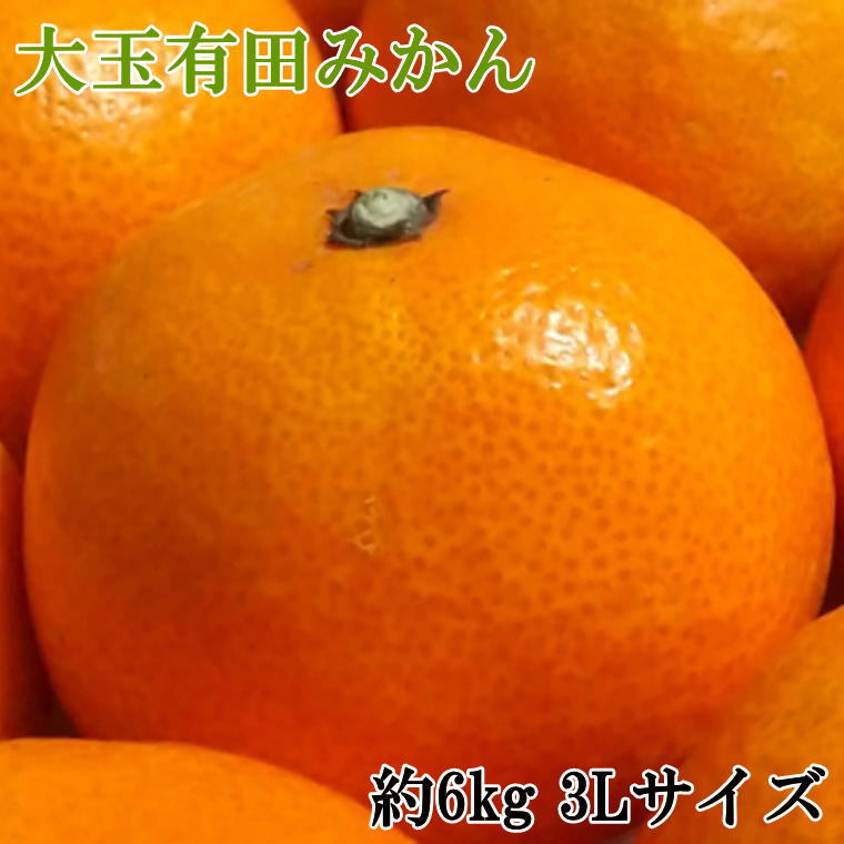 [秀品]和歌山有田みかん 6kg(3Lサイズ) ※2026年11月中旬〜2027年1月中旬頃に順次発送予定(お届け日指定不可)