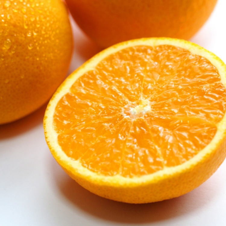 産直有田産清見オレンジ約5kgサイズおまかせ・秀品＜2025年3月上旬～3月下旬頃に順次発送＞