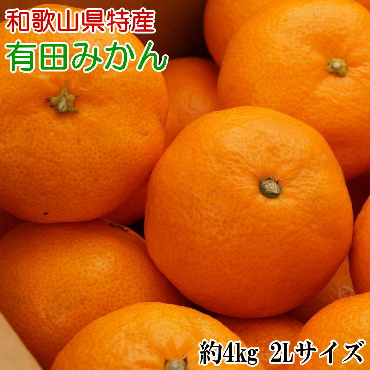 【ふるさと納税】[秀品]和歌山有田みかん約4kg(2Lサイズ) ※2025年11月上旬～2026年1月下旬頃に順次発送予定(お届け日指定不可) / みかん ミカン 果物 くだもの フルーツ 柑橘 和歌山 有田 有田みかん ありだみかん