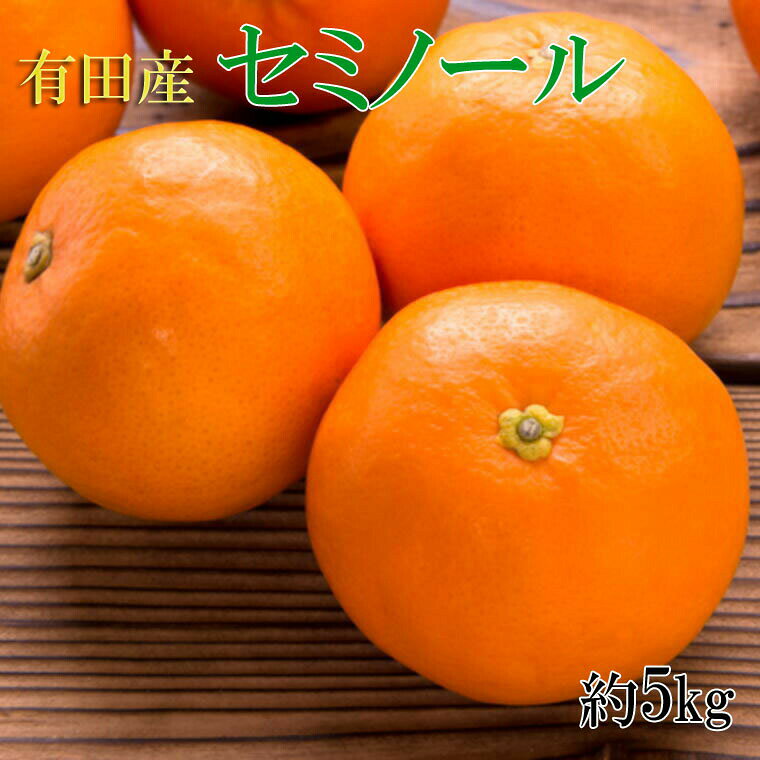 和歌山有田産セミノールオレンジ約5kg(サイズおまかせ 秀品) ※2024年4月中旬～4月下旬ごろに順次発送（お届け日指定不可）