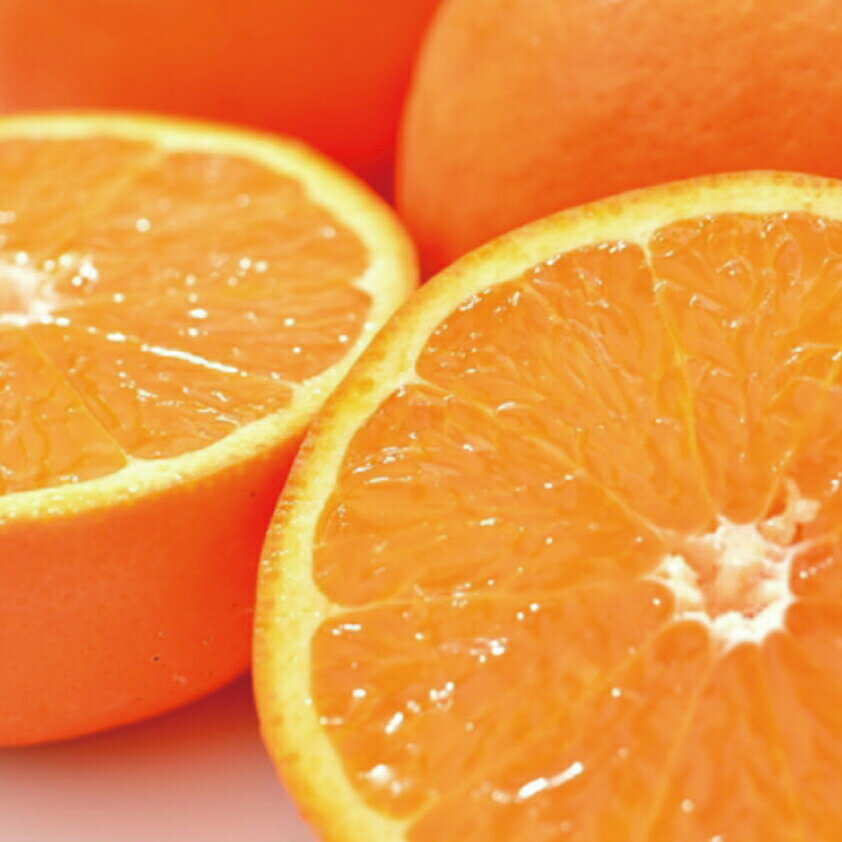 和歌山県由良町産セミノールオレンジ約5kg(サイズ混合　秀品)