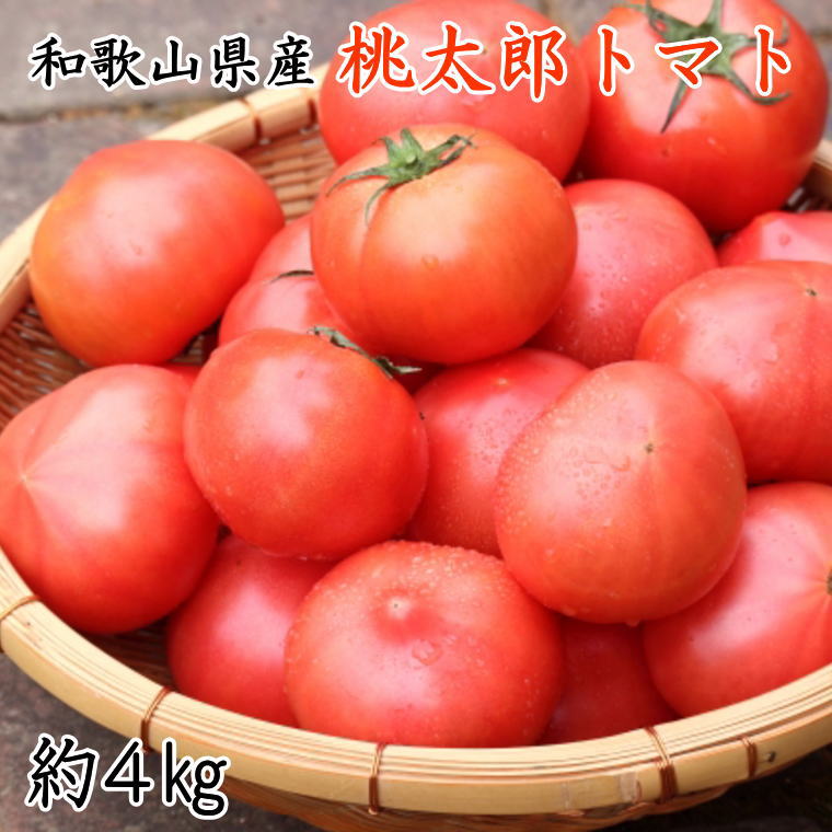 新鮮 和歌山県産桃太郎トマト約4kg(L～2Lサイズおまかせ)