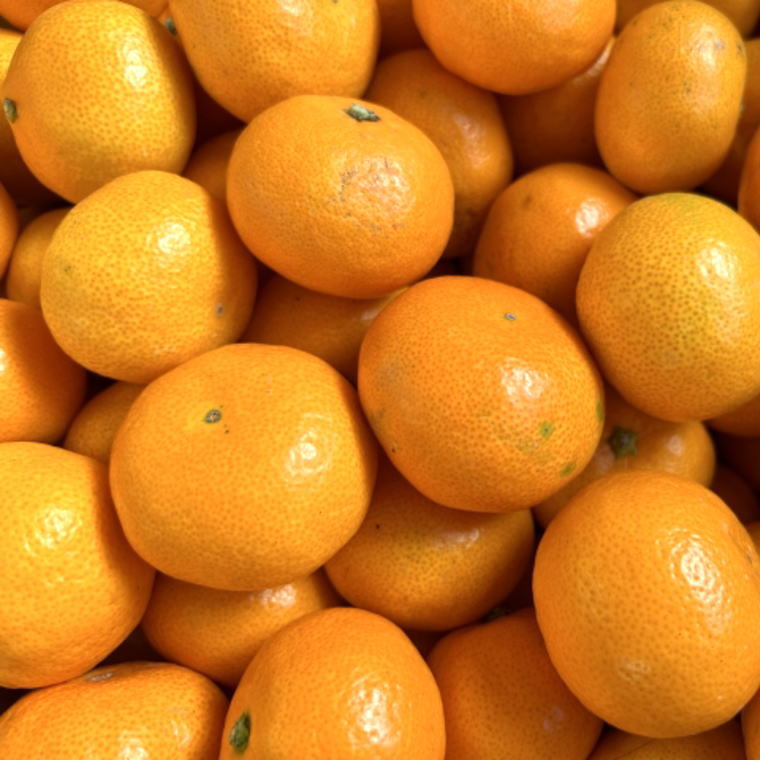 エコファーマーのこだわり有田みかん 選べる容量(サイズ混合)