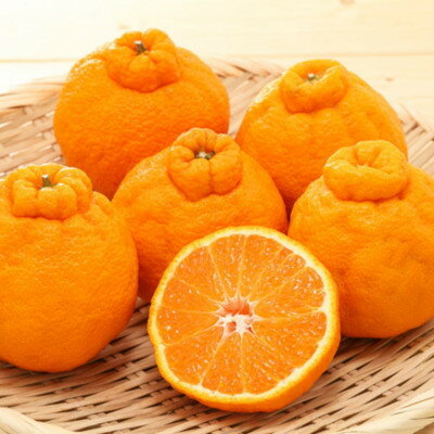 和歌山県すさみ町の画像2