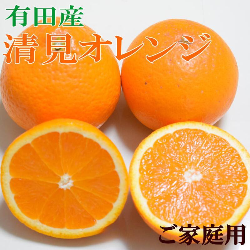[濃厚]有田産清見オレンジ約5kg (M〜3Lサイズおまかせ) ご家庭用 ※2026年2月中旬〜2026年3月中旬頃発送(日付指定不可)/ オレンジ 清美 ミカン みかん 果物 フルーツ 果実 有田 和歌山 有田みかん