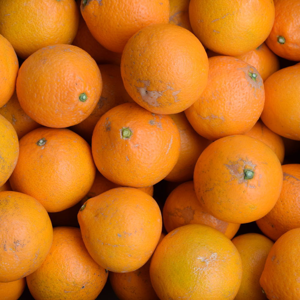 濃厚有田産清見オレンジ約5kg (M～3Lサイズおまかせ)