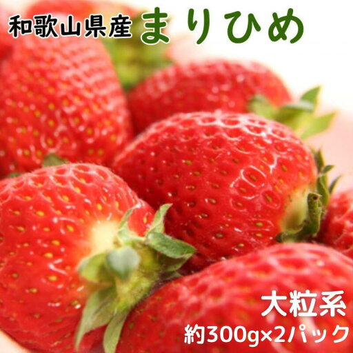 【ふるさと納税】 いちご 和歌山県産ブランドいちご「まりひめ」大粒系約300g×2パック入り ※2025年12月中旬~2026年2月下旬頃順次発送(お届け日指定不可)/イチゴ 苺 フルーツ 紀州 和歌山 【ふるさと納税】 いちご 和歌山県産ブランドいちご「まりひめ」大粒系約300g×2パック入り ※2025年12月中旬~2026年2月下旬頃順次発送(お届け日指定不可)/イチゴ 苺 フルーツ 紀州 和歌山
