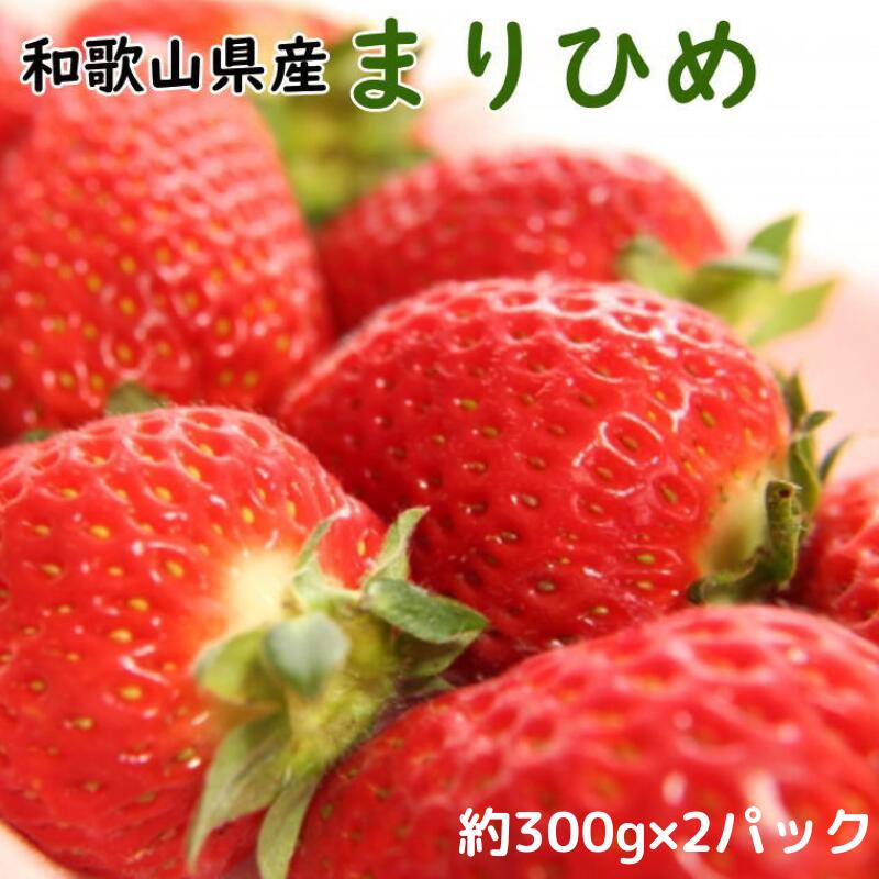 【ふるさと納税】 いちご 和歌山県産ブランドいちご「まりひめ」約300g×2パック入り ※22026年1月中旬~2026年2月下旬頃順次発送(お届け日指定不可)/イチゴ 苺 フルーツ 紀州 和歌山