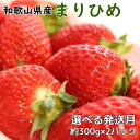 【ふるさと納税】 いちご 和歌山県産ブランドいちご「まりひめ」約300g×2パック入り 【選べる発送月】 【3月~5月】(お届け日指定不可)/イチゴ 苺 フルーツ 紀州 和歌山
