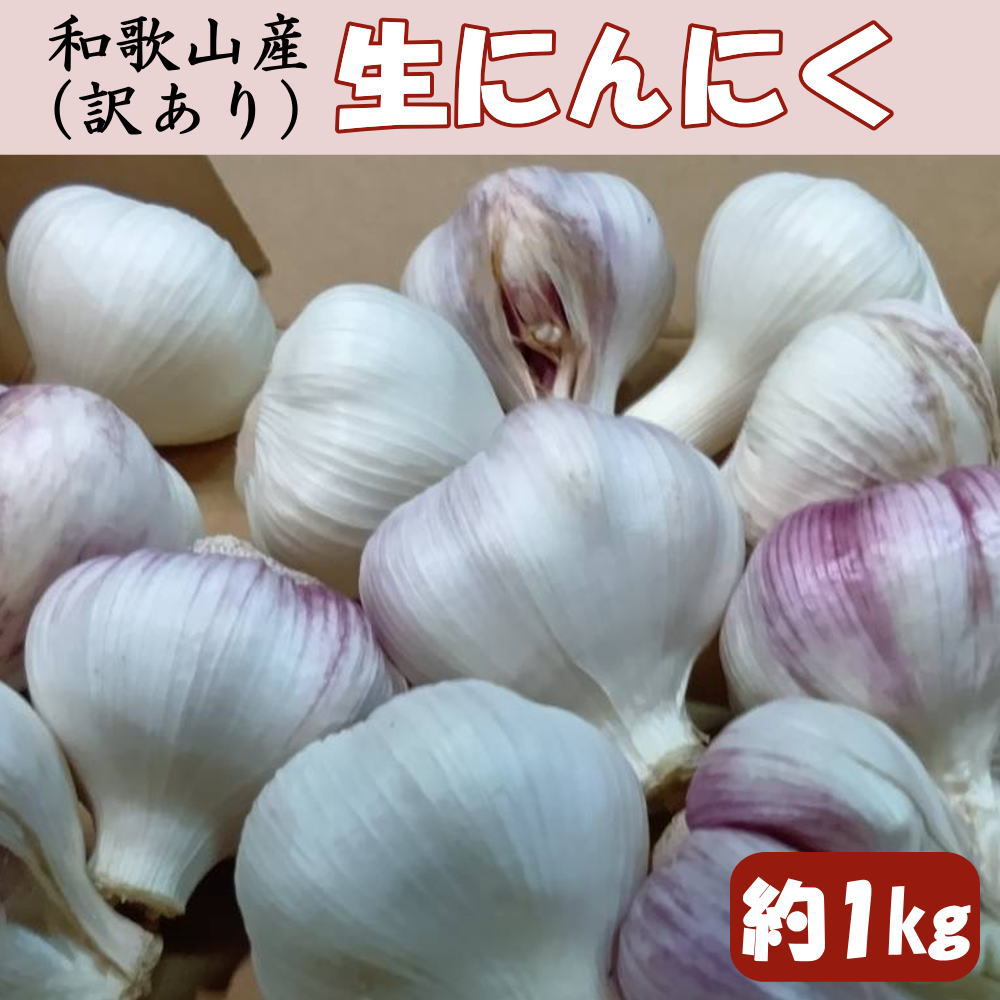 乐天商城 - 【ふるさと納税】和歌山県産生にんにく約1kg　ご家庭用 / 和歌山 ニンニク 【tec986】