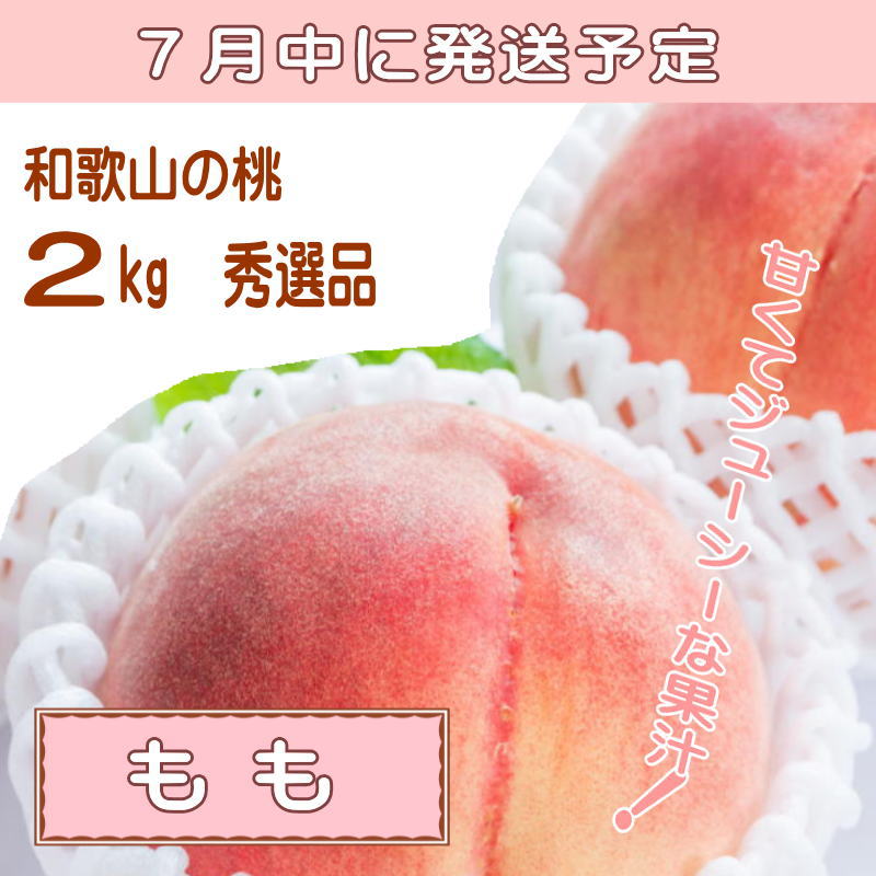 【ふるさと納税】【定期便】夏をお届け！フルーツ定期便！小玉すいか・桃・ピオーネ（全3回）/ フルーツ 果物 すいか ひとりじめ7 もも モモ ぶどう ブドウ 旬 定期便 くだもの わかやま 旬 フルーツ定期便 果物定期便 おすすめ 夏