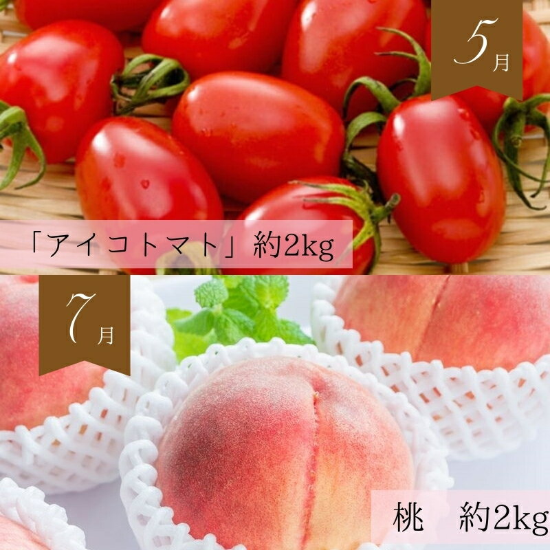【ふるさと納税】【全6回定期便】奇数月にお届け♪旬の野菜とフルーツ定期便！キウイ・清見オレンジ・アイコトマト・桃・ピオーネ・富有柿 / 野菜 やさい ヤサイ フルーツ きうい 清美 オレンジ トマト ミニトマト もも カキ かき ぶどう 葡萄 果物 果実 くだもの 定期便
