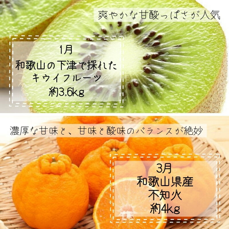 全6回奇数月にお届け産直野菜＆フルーツキウイ・不知火・アイコトマト・桃・極早生みかん・有田みかん