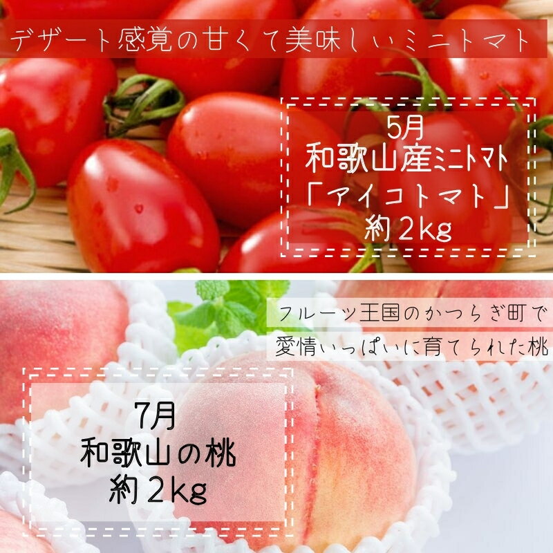 �ڤդ뤵��Ǽ�ǡۡ���6������ء۴����ˤ��Ϥ����ڻ�ľ����ڡ��ե롼������ء������������βС��������ȥޥȡ������������ߤ���ͭ�Ĥߤ��� / ��� �䤵�� �䥵�� �ե롼�� �դ롼�� ������ ����̤� �ȥޥ� �ߥ˥ȥޥ� ��� ��ʪ �̼� ��ʪ ������� �����