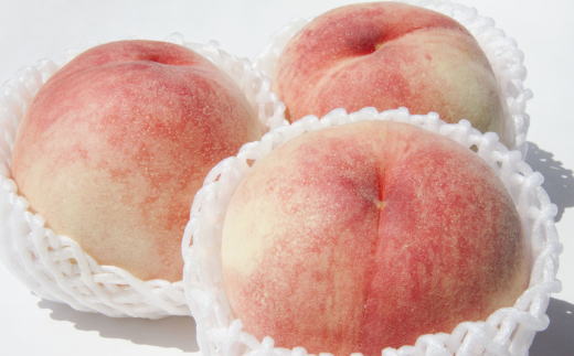 【ふるさと納税】定期便全3回 【7月・8月・9月発送】 和歌山の夏の人気フルーツをお届け（桃・梨・シャイン）【tkb429】