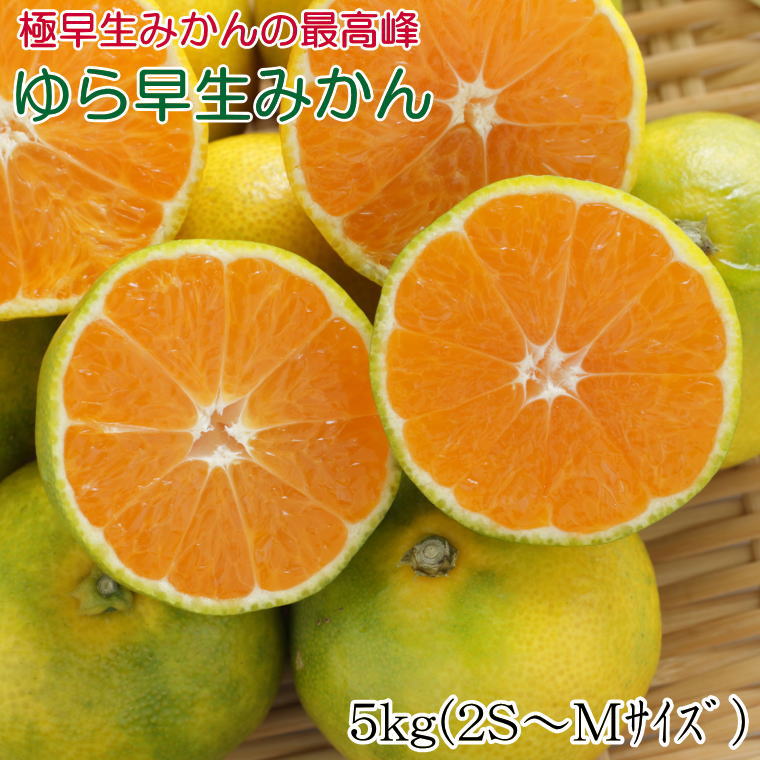 [極早生みかんの逸品]有田産ゆら早生みかん 約5kg※2024年10月中旬〜2024年11月中旬頃に順次発送(お届け日指定不可)