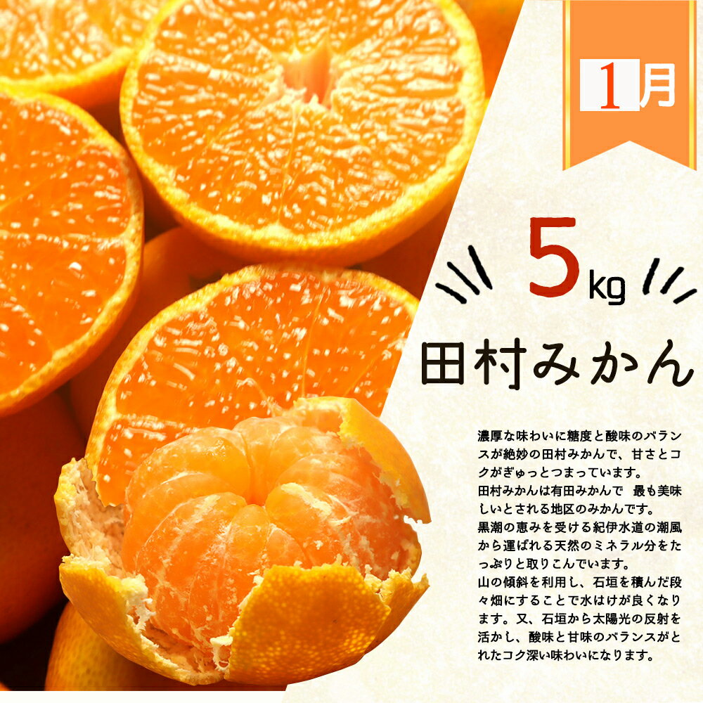 【ふるさと納税】 【3か月定期便】 人気の柑橘を集めた！ みかんの定期便 / 定期便 みかん 柑橘 フルーツ 果物 果物定期便 フルーツ定期便 おすすめ 和歌山 有田みかん 有田 田村みかん ポンカン 清見オレンジ