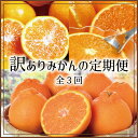 【ふるさと納税】【3か月定期便】たっぷり届く♪訳ありみかんの定期便 /...(4)
