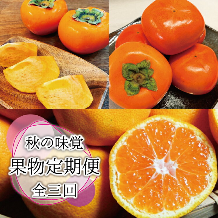 [全3回定期便]秋の味覚 果物定期便 柿・みかん 旬のフルーツを毎月お届け♪