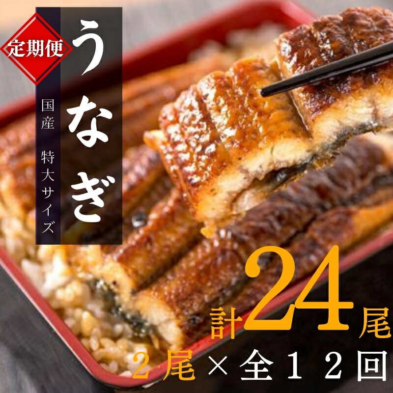【ふるさと納税】 【全12回定期便】大型サイズ ふっくら柔らか 国産うなぎ蒲焼き / 定期便 うなぎ 鰻 国産 魚介 蒲焼 うな重 うな丼 ひつまぶし たれ 人気 贈答 贈り物 ギフト プレゼント お祝い ご褒美 2尾×12回 計24尾 約4080g