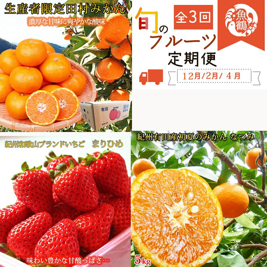 [全3回] 紀州和歌山産旬のフルーツ定期便 (田村みかん・いちご・なつみ) / 定期便 フルーツ フルーツ定期便 おすすめ 和歌山 果物 くだもの 春 冬 みかん 有田みかん 田村みかん ミカン 柑橘 いちご イチゴ 苺 なつみ オレンジ 果実