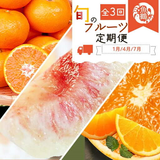 【ふるさと納税】【全3回】 紀州和歌山産旬のフルーツ定期便 (みかん・清見オレンジ・桃) / 定期便 フルーツ フルーツ定期便 おすすめ 和歌山 果物 くだもの みかん ミカン 有田みかん 温州みかん 清美オレンジ 清美 もも 桃 モモ 【ふるさと納税】【全3回】 紀州和歌山産旬のフルーツ定期便 (みかん・清見オレンジ・桃) / 定期便 フルーツ フルーツ定期便 おすすめ 和歌山 果物 くだもの みかん ミカン 有田みかん 温州みかん 清美オレンジ 清美 もも 桃 モモ