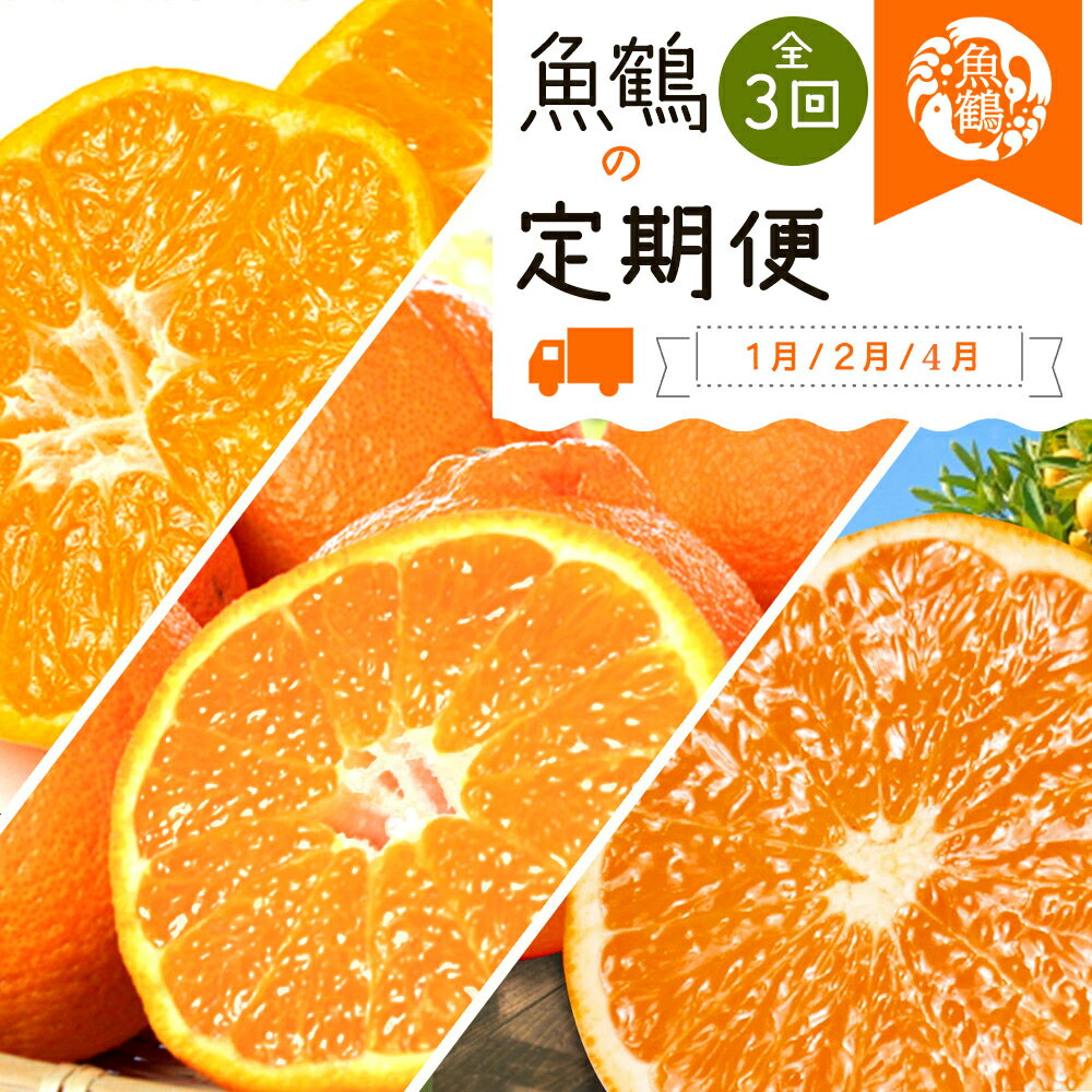 [全3回] 紀州和歌山産旬の柑橘定期便 (みかん・不知火・清見オレンジ) / 定期便 フルーツ フルーツ定期便 おすすめ 和歌山 果物 くだもの みかん 有田みかん ミカン 不知火 デコポン 柑橘 オレンジ 果汁 清美 オレンジ 清美オレンジ