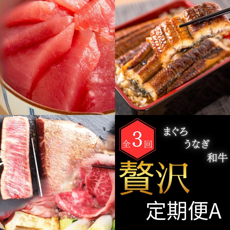 [全3回] まぐろ ・ うなぎ ・ 和牛 を楽しむ贅沢定期便A / 鮪 マグロ 刺身 鰻 ウナギ 蒲焼 熊野牛 肉 牛肉 黒毛和牛 ヒレ ロース シャトーブリアン ステーキ スライス マグロ丼 かば焼き
