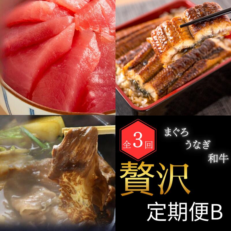 [全3回] まぐろ ・ うなぎ ・ 和牛 を楽しむ贅沢定期便B / 鮪 マグロ 刺身 鰻 ウナギ 蒲焼 熊野牛 肉 牛肉 黒毛和牛 赤身 こま切れ マグロ丼 かば焼き 定期便 贅沢 おすすめ 人気