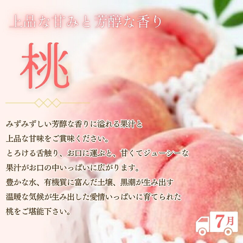 全3回紀州和歌山産 旬のフルーツいちご・桃・巨峰