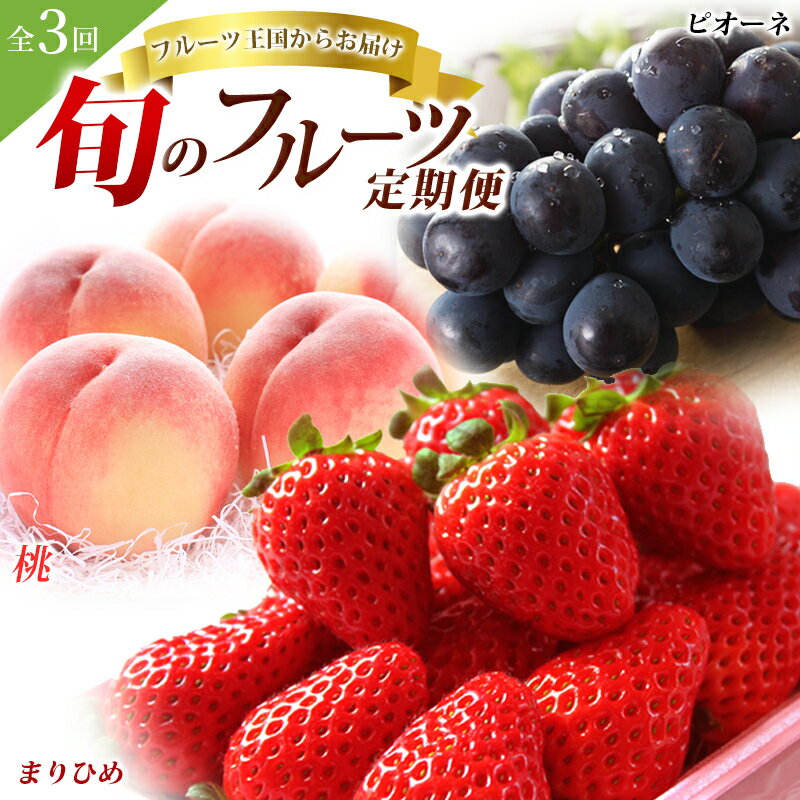 【ふるさと納税】【全3回】＼フルーツ大国和歌山からお届け／ 旬のフルーツ 定期便（いちご・桃・ピオーネ）