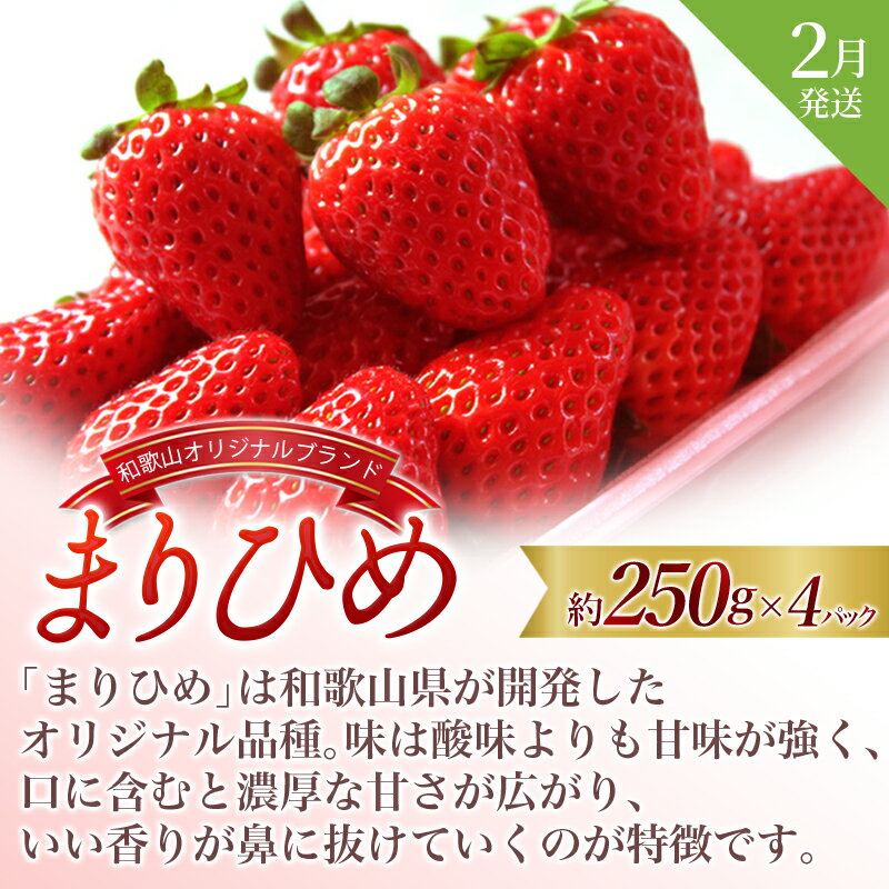 【ふるさと納税】【全3回】＼フルーツ大国和歌山からお届け／ 旬のフルーツ 定期便（いちご・桃・ピオーネ）