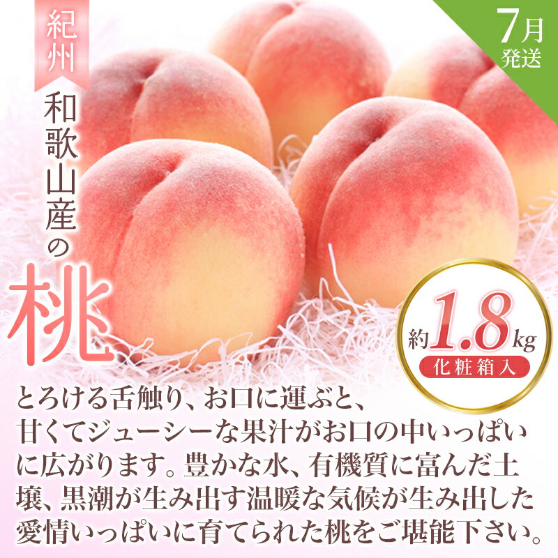 【ふるさと納税】【全3回】＼フルーツ大国和歌山からお届け／ 旬のフルーツ 定期便（いちご・桃・ピオーネ）