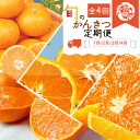 【ふるさと納税】【全4回】旬の柑橘定期便 / みかん ミカン 柑橘 オレンジ 果物 くだもの フルーツ フルーツ定期便 和歌山