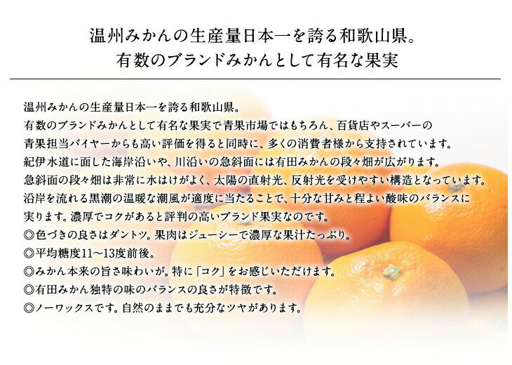 【ふるさと納税】ブランド有田みかん　秀品5キロ　サイズお任せ/紀伊国屋文左衛門本舗　※2025年10月中旬〜2026年1月下旬頃発送予定（お届け日指定不可）※品種おまかせ。極早生、早生、中生、晩生みかんのいずれかをお届け【予約受付】
