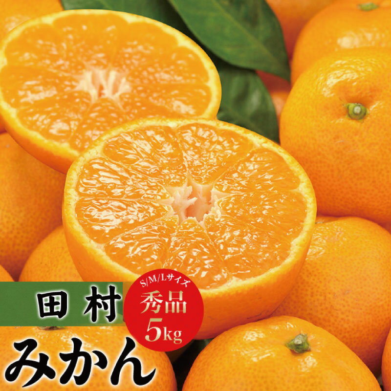 田村みかん　秀品5キロ　サイズおまかせ 紀伊国屋文左衛門本舗　◆2024年11月下旬〜2025年1月中旬頃に発送予定